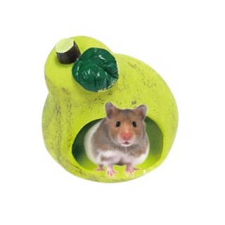 MAISON HAMSTER